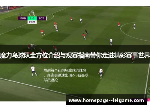 魔力鸟球队全方位介绍与观赛指南带你走进精彩赛事世界 魔力鸟球队全方位介绍与观赛指南带你走进精彩赛事世界