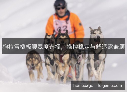狗拉雪橇板腰宽度选择,操控稳定与舒适需兼顾 狗拉雪橇板腰宽度选择,操控稳定与舒适需兼顾